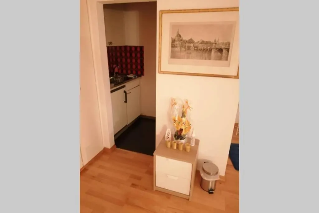 Studio F Am Barfusserplatz Central Old Town Lägenhet Basel